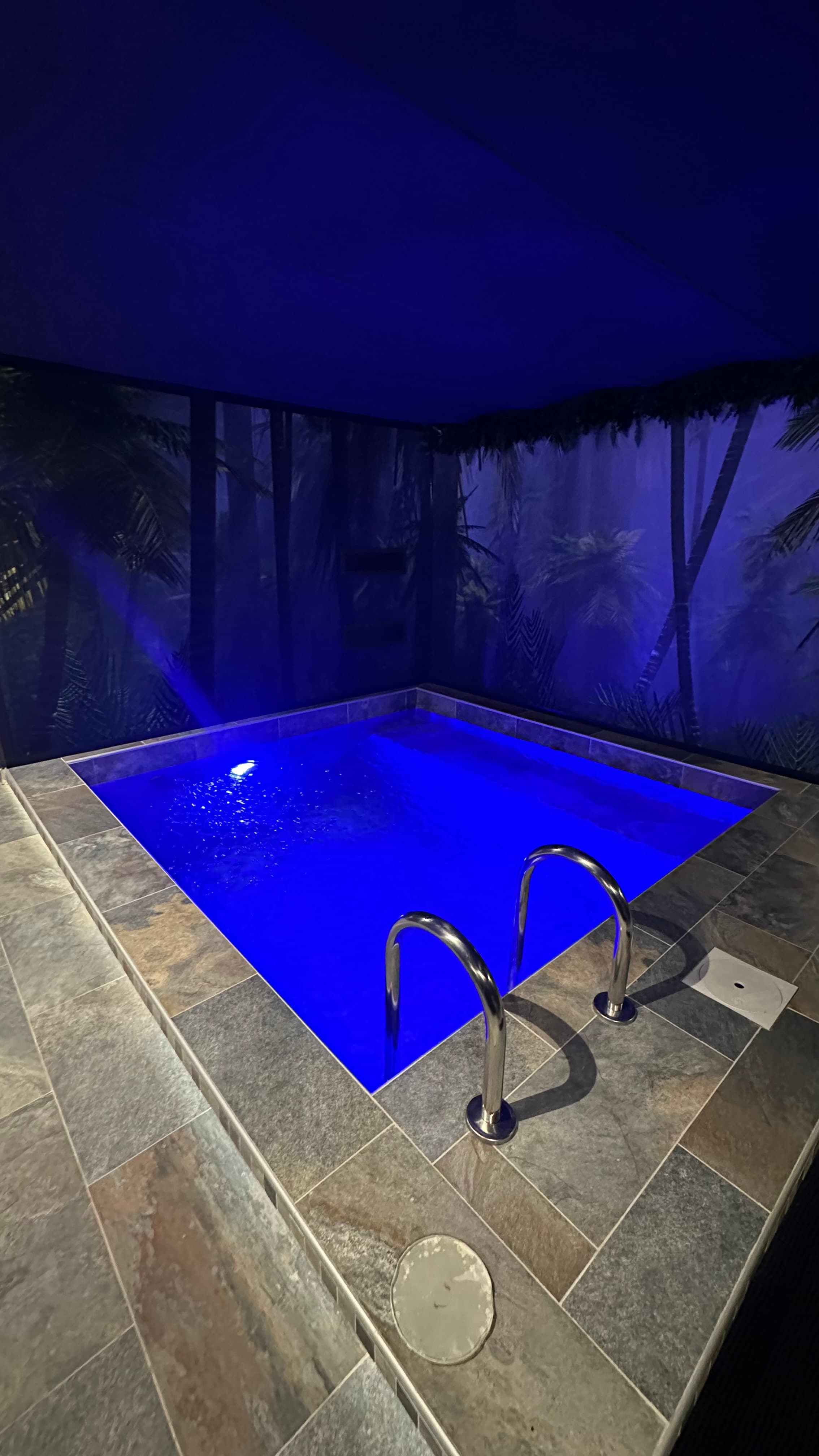 Pool Suite - Piscine Privée